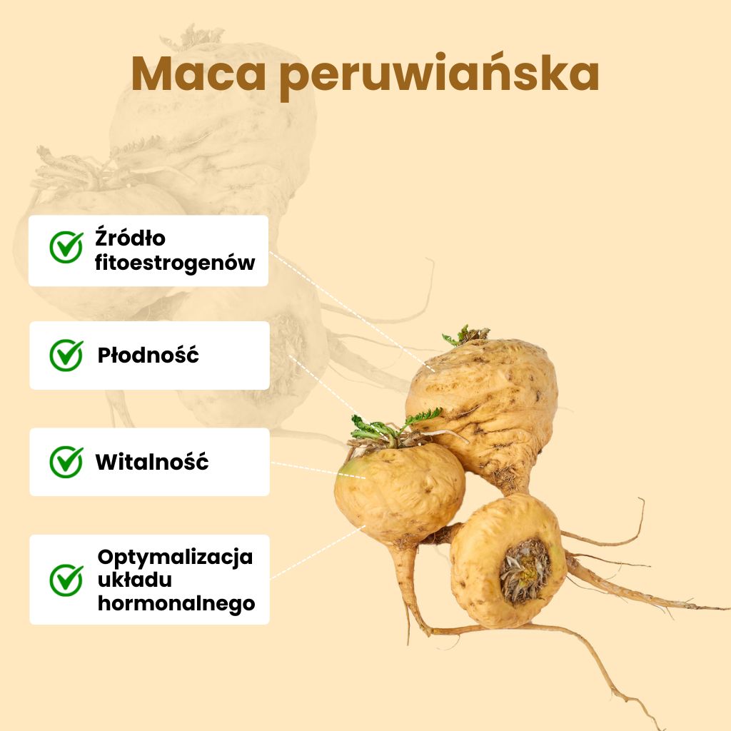 (Polština) Maca peruanska (2)
